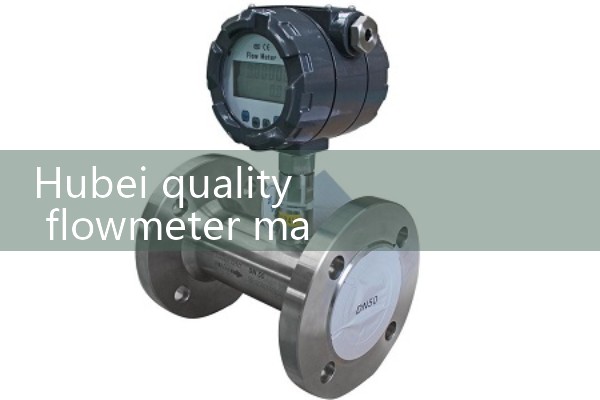 Hubei Quality Flow Meter Manufacturer